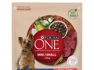 PURINA One Mini Adult Rundvlees, Rijst - Droog Hondenvoer - 800 g