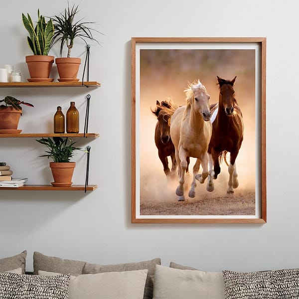 Clementoni High Quality Collection Puzzel Paarden 1000 Stukjes - Afbeelding 2